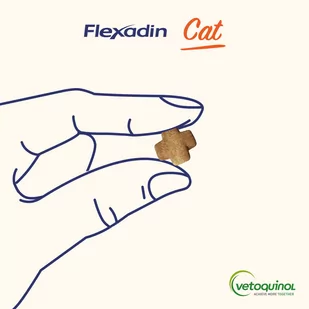 VETOQUINOL Flexadin Cat 60kąsków - Suplementy i witaminy dla psów - miniaturka - grafika 3