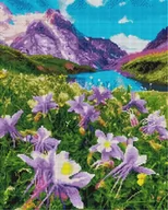 Malowanie po numerach - Mozaika diamentowa - Kwiaty górskie 40x50cm - Twoje Hobby - miniaturka - grafika 1