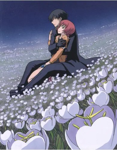 Plakat Darker than Black DTB_004 A1+ (custom)