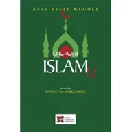 Religia i religioznawstwo - Meddeb Abdelwahab Choroba islamu - miniaturka - grafika 1