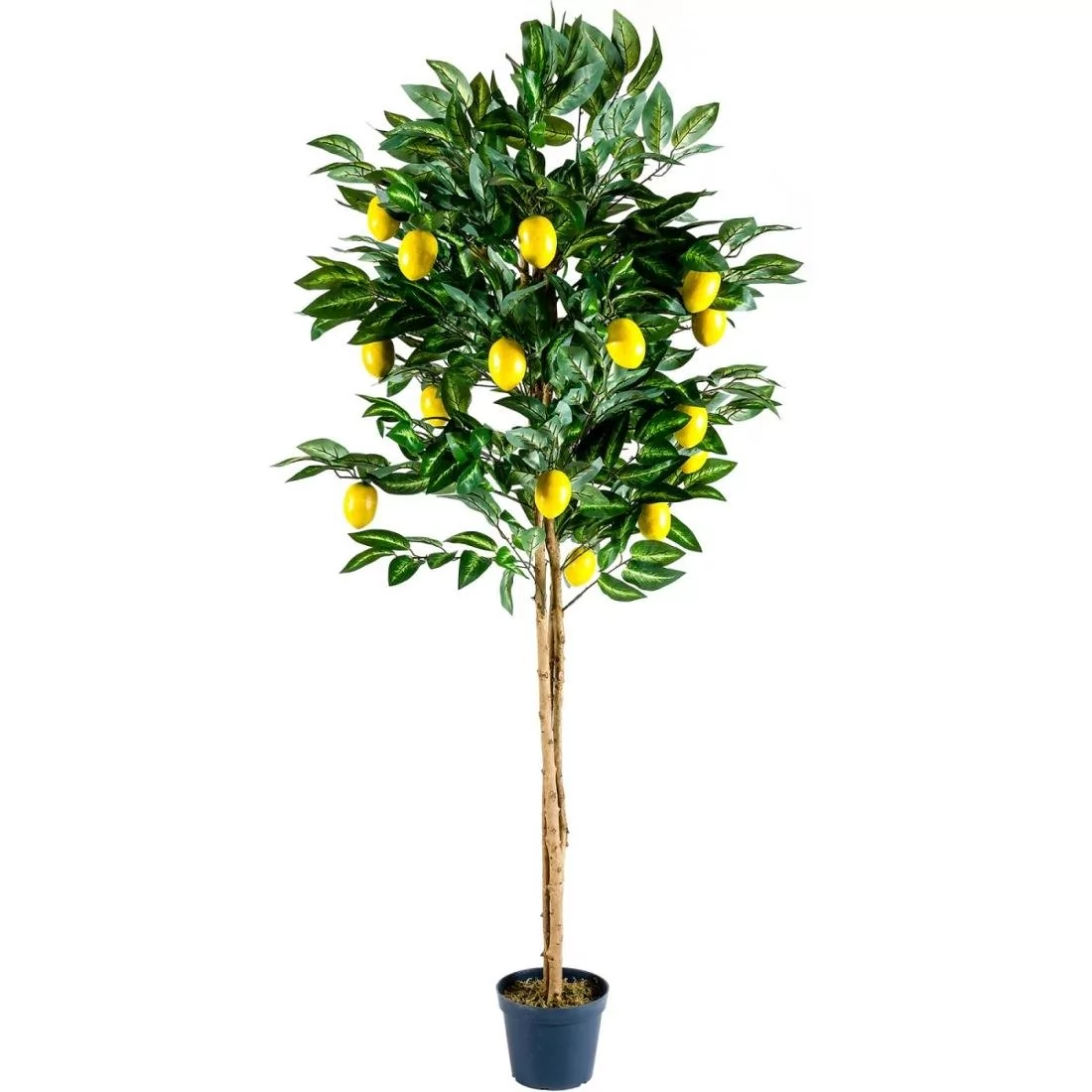 MAX Drzewko sztuczne owocowe cytrynowe 184 cm