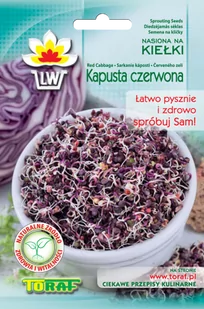 Toraf Nasiona na kiełki kapusta czerwona 10g Nas000389 - Nasiona na kiełki - miniaturka - grafika 1