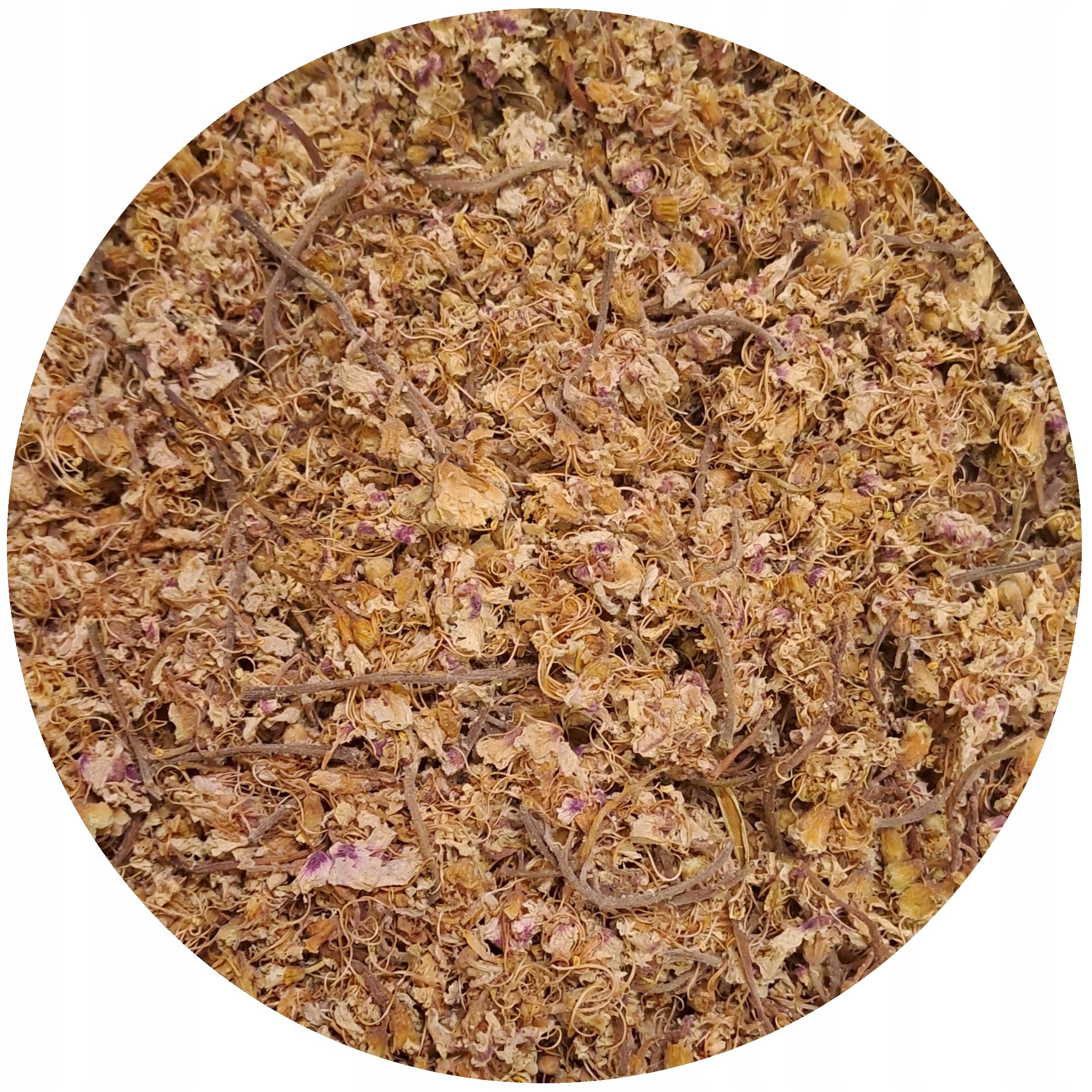 Kasztan Kasztanowiec kwiat susz Aesculus hippocastanum Mystic.Garden 500 g