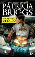 Fantasy - Pocałunek żelaza - Wysyłka od 3,99 - miniaturka - grafika 1