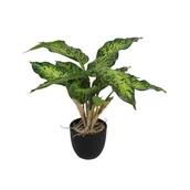 Sztuczne kwiaty - SPLENDID Difenbachia Tropic sztuczna 35cm w doniczce - miniaturka - grafika 1