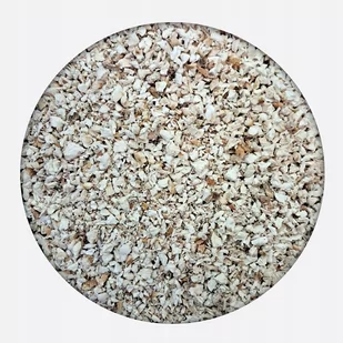 Białoporek brzozowy Piptoporus betulinus 500 g - Herbata - miniaturka - grafika 1