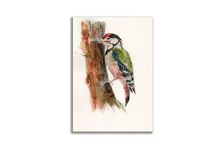 Akwarela ręcznie malowana Dzięcioł - Obrazy i zdjęcia na płótnie - miniaturka - grafika 1