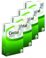 Suplementy i witaminy dla psów - Cestal Cat tabletki na odrobaczanie kotów 8 tabletek - miniaturka - grafika 1