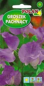 Nasiona i cebule - Groszek pachnący liliowo-modry 3 g POLAN - miniaturka - grafika 1