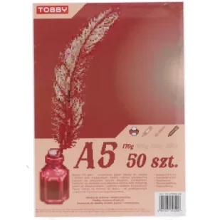 Papier Brystol A5 50 ark.170g - Podobrazia, bloki, papiery - miniaturka - grafika 1