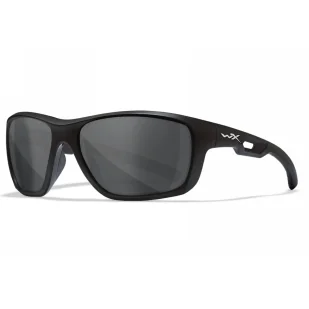 Okulary taktyczne Wiley X ASPECT Grey / Matte Black Frame - Odzież taktyczna i umundurowanie - miniaturka - grafika 1