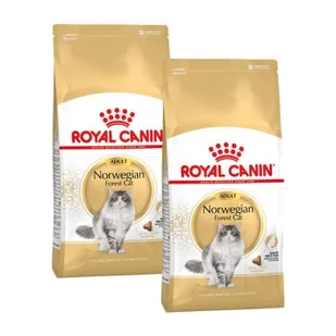 ROYAL CANIN Norwegian Forest Adult 2x10 kg - Mokra karma dla kotów ROYAL CANIN Norwegian Forest Adult 2x10 kg - Mokra karma dla kotów - miniaturka - grafika 1