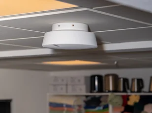 Audio Pro Business Audio Pro Business SPW-5 - Głośniki i kolumny - miniaturka - grafika 9