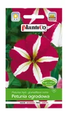 Nasiona i cebule - Petunia ogrodowa biało-czerwona 0,05 g Plantico - miniaturka - grafika 1