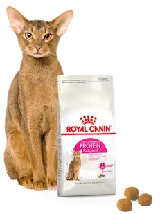 Royal Canin Exigent Protein Preference 42 10 kg - Sucha karma dla kotów - miniaturka - grafika 8