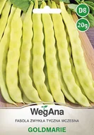 Nasiona i cebule - Fasola zwykła tyczna Goldmarie 20g nasiona - WegAna - miniaturka - grafika 1