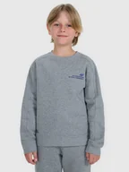 Bluzy dla chłopców - 4F Bluza dresowa nierozpinana bez kaptura chłopięca - szara 122 (6-7 lat) - miniaturka - grafika 1