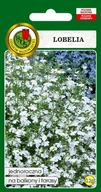 Nasiona i cebule - Lobelia Biała 0.2 g PNOS - miniaturka - grafika 1
