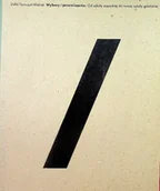 Książki o kulturze i sztuce - Wybory i przemilczenia - miniaturka - grafika 1