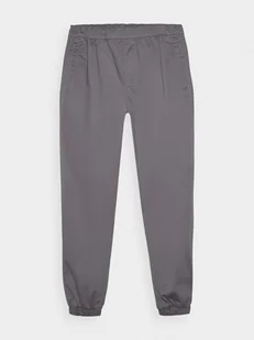 4F Spodnie casual joggery męskie - szare XXL - Spodnie męskie - miniaturka - grafika 1