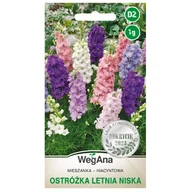 Nasiona i cebule - Ostróżka letnia niska Hiacyntowa mieszanka nasiona 1g - WegAna - miniaturka - grafika 1