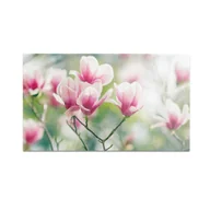 Deski do krojenia - Szklana deska kuchenna HOMEPRINT Kwiaty magnolii 60x52 cm - miniaturka - grafika 1