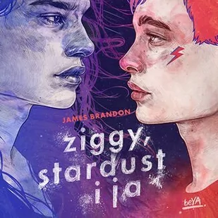 Ziggy, Stardust i ja - Audiobooki dla dzieci i młodzieży Ziggy, Stardust i ja - Audiobooki dla dzieci i młodzieży - miniaturka - grafika 1