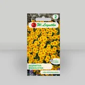 Nasiona i cebule - Aksamitka wąskolistna Golden Gem Żółta 0,3g - Nasiona - W. Legutko - miniaturka - grafika 1