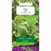 Nasiona i cebule - Nasiona Sałata Kral Maje I 150nas. - W.Legutko - miniaturka - grafika 1