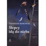Powieści - Arcana Ślepcy idą do nieba - Stanisław Srokowski - miniaturka - grafika 1