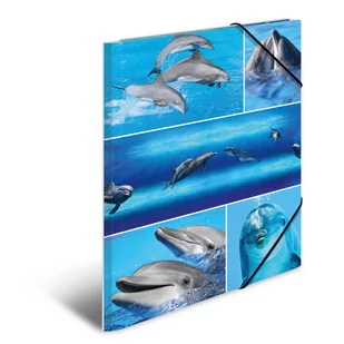 Teczka A3 z gumkami, Delfiny - Teczki i skoroszyty - miniaturka - grafika 1
