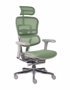Fotel biurowy, krzesło biurowe Fotel Ergohuman 2 Elite GS Green - Fotele i krzesła biurowe - miniaturka - grafika 1