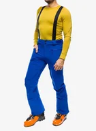 Spodnie narciarskie - Spodnie narciarskie Salomon Edge Pant - surf the web - miniaturka - grafika 1