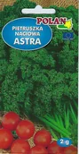 Nasiona i cebule - Pietruszka naciowa Astra 2 g POLAN - miniaturka - grafika 1