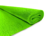 Szkolne artykuły papiernicze - Interdruk Bibuła marszczona jasnozielona 22 - miniaturka - grafika 1