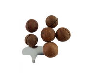 Orzechy i nasiona - Orzechy macadamia w łupinie, prażone z kluczem do otwierania 0.5 kg - miniaturka - grafika 1