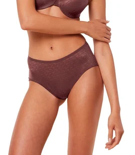 Majtki damskie Signature Sheer Maxi EX-44 - Majtki damskie - miniaturka - grafika 1