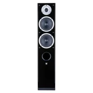 Zestawy stereo - Zestaw stereo: RCDN-10 + Raptor 5 - miniaturka - grafika 1