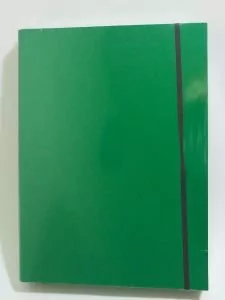 Tadeo Trading Teczka na gumkę A4 LUx Zielona - Szkolne artykuły papiernicze - miniaturka - grafika 2