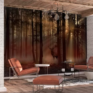 Fototapeta samoprzylepna - Mistyczny las - pierwszy wariant (rozmiar 98x70) - Fototapety - miniaturka - grafika 1