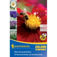 Nasiona i cebule - Mieszanka raj dla pszczół - miniaturka - grafika 1