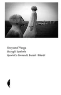 E-booki - przewodniki - Ostrygi i kamienie - miniaturka - grafika 1
