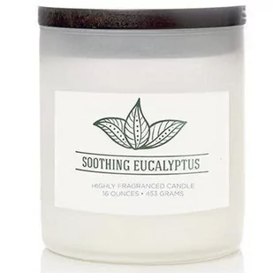 Świeca zapachowa - Soothing Eucalyptus (453g) - Świece - miniaturka - grafika 1
