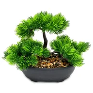 Drzewko bonsai w doniczce rne kolory 18cm - Ceny i opinie na Skapiec.pl
