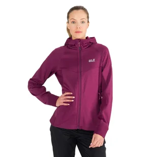 Bluza polarowa damska Jack Wolfskin Hydro Grid Fleece - Odzież trekkingowa damska - miniaturka - grafika 1