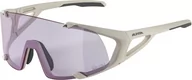Okulary sportowe - Alpina Alpina Hawkeye S Q-Lite V Glasses, szary  2022 Okulary 8694121 - miniaturka - grafika 1