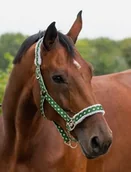 Kantary dla koni - Kantar Christmas - QHP - elf - miniaturka - grafika 1