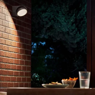 Philips Mimosa kinkiet zewnętrzny LED, regulowany - Lampy ogrodowe - miniaturka - grafika 5