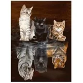 Malowanie po numerach - Norimpex Diamentowa mozaika Kotki trzy 40x30cm 1007014 - miniaturka - grafika 1