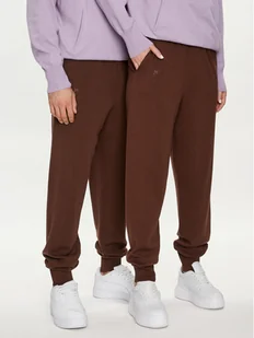 Pangaia Spodnie dresowe Merino Brązowy Regular Fit - Spodnie sportowe męskie - miniaturka - grafika 1
